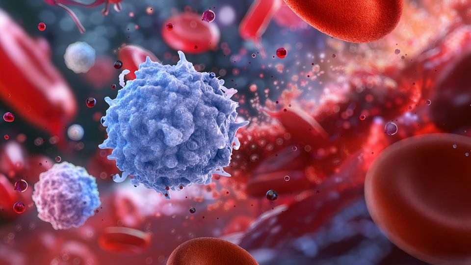 Translate Proteins From Biomarker Candidates to Verified Biomarkers