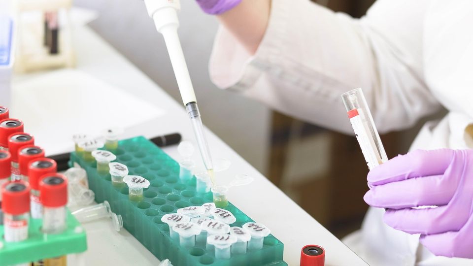 Scientist using a pipette to transfer samples into laboratory tubes.