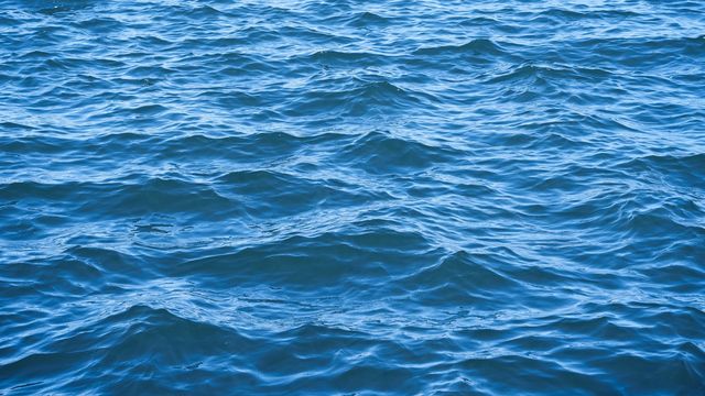 Engineered Bacteria Accelerate Rock Weathering for Faster Carbon Removal