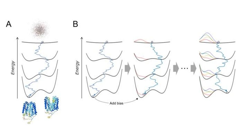 AlphaFold diffusion model showing protein structure sampling across energy landscapes.