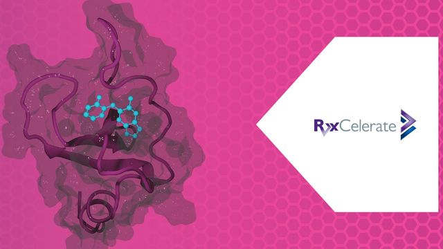 3D molecular protein surface rendering in magenta and turquoise against a blue background, featuring the RxCelerate logo. 