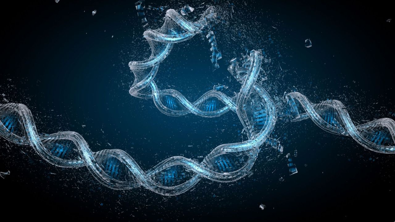 Improved Measure of Genetic Alzheimer's Risk Developed