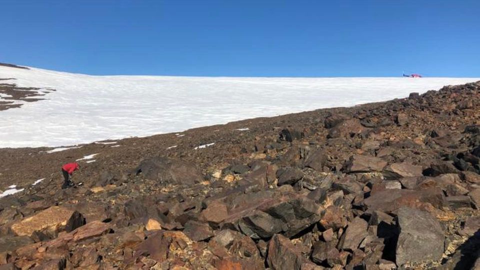 Snow-covered Shackleton Glacier with rocky terrain and a hiker beneath a clear blue sky.
