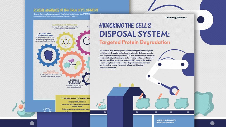 Illustration of a robotic arm attaching ubiquitin chains to proteins on a conveyor belt before they pass through a processing machine to be broken down. 