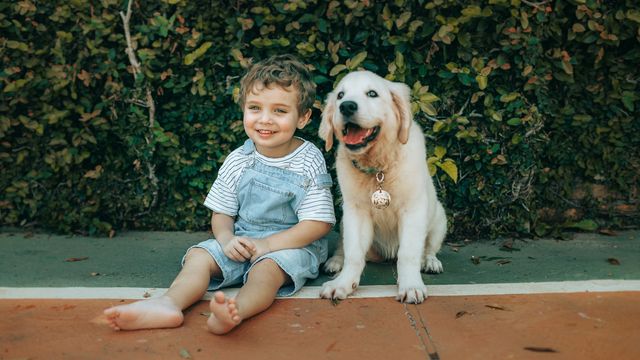 https://assets.technologynetworks.com/production/dynamic/images/content/416209/dog-child-helena-lopes-unsplash-640x360.jpg?cb=20260904