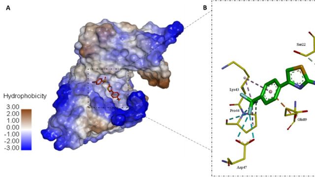 Molecular docking model showing antimicrobial resistance drug interactions with a protein binding site. 
