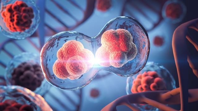 Illustration of cellular division against a backdrop of double-helix DNA strands. 