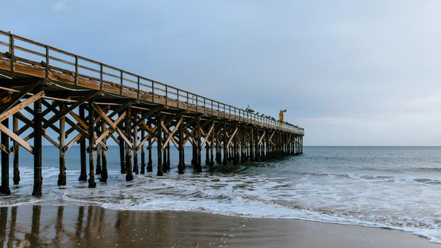 A large wooden pier stretching into the ocean shoreline at low tide. 