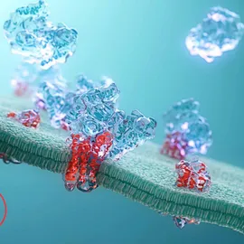 Protein structures illustrating sample preparation for downstream protein characterization.