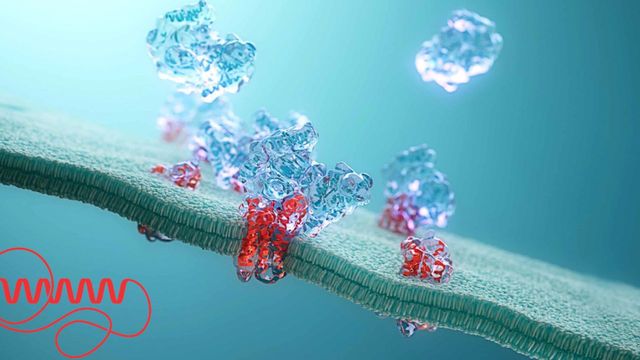 Protein structures illustrating sample preparation for downstream protein characterization. 