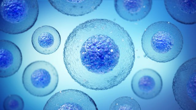 Illustration of blue cells floating on a light blue background.  