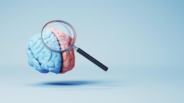 3D render of a blue and pink brain under a magnifying glass, symbolising brain research. 