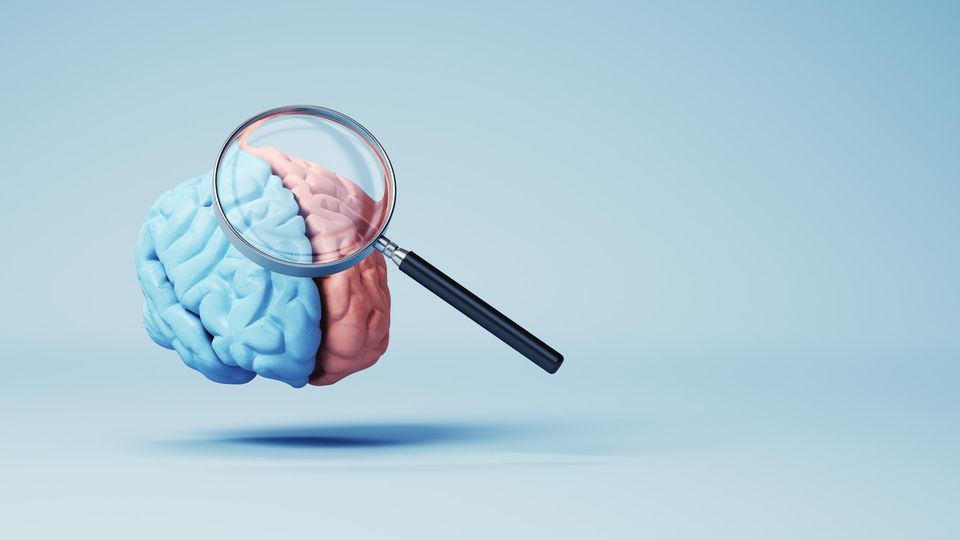 3D render of a blue and pink brain under a magnifying glass, symbolising brain research.