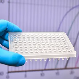 Gloved hands holding a 96-well plate in front of a qPCR amplification graph.