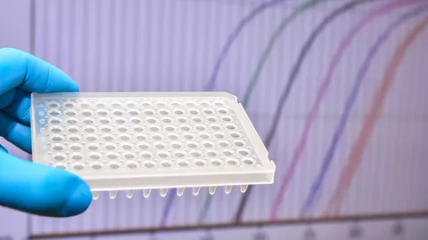 Gloved hands holding a 96-well plate in front of a qPCR amplification graph.