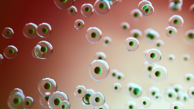 Cells shown as translucent spheres with green nuclei against a warm background. 