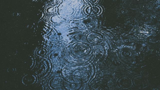 Drops of rain falling on a puddle. 
