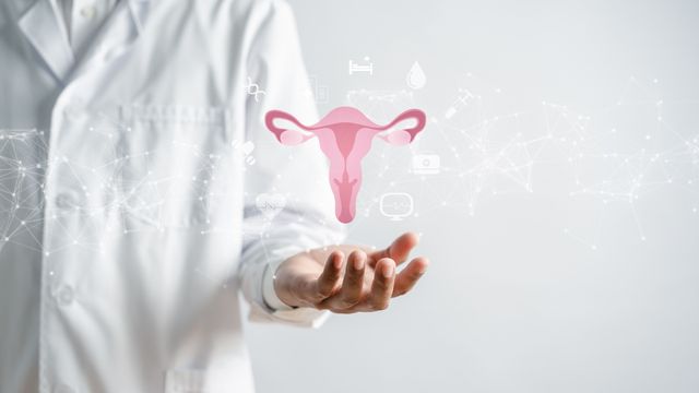 Doctor holding a digital uterus illustration, symbolizing women's health and reproductive care. 