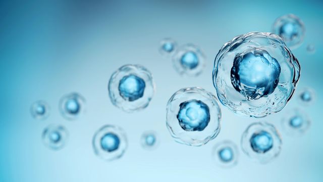 Metabolomics molecular analysis with floating blue cellular structures. 