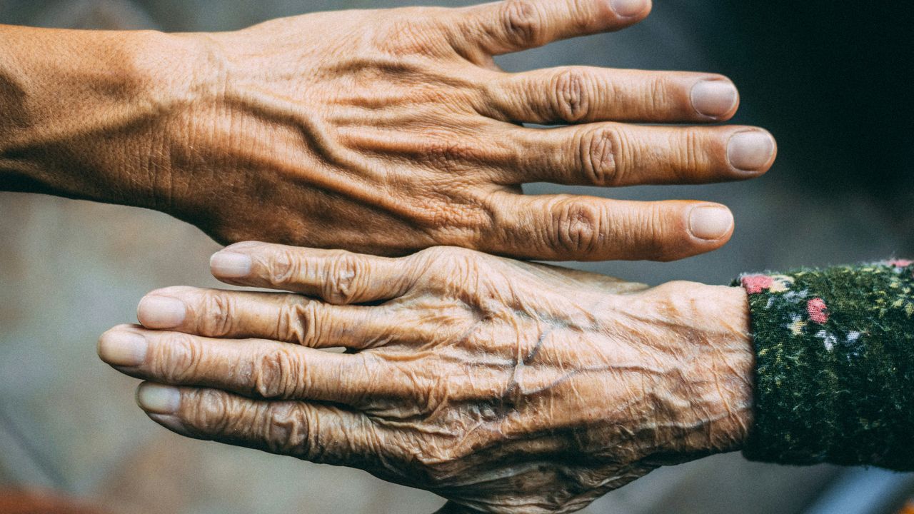 How Fast Are You Aging? A Single Snapshot Could Provide the Answer