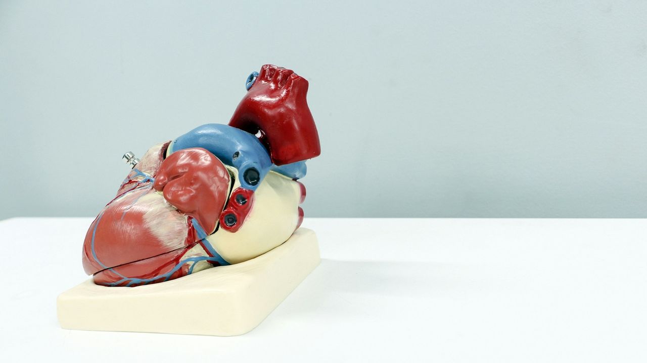 Could Everyday Stress Be Damaging Your Heart?