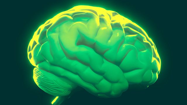 3D render of a human brain in bright green and yellow against a dark green background. 
