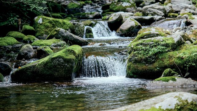 Water flowing over rocks in a calm, small stream. 