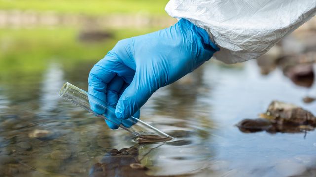Gloved hand collecting a water sample in a test tube from a river. 