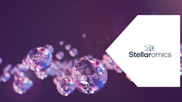 Abstract glossy spheres representing molecular interactions and innovation in multiomics, featuring the Stellaromics logo. 