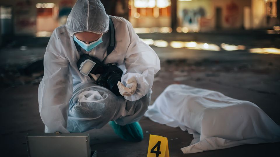 Forensic investigator examining evidence beside a covered body and yellow evidence marker 4.