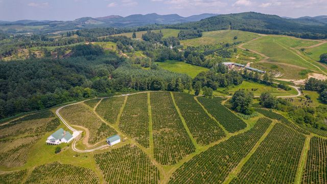 Aerial view of agricultural farms with rows of crops, fields, trees, and rolling hills. 