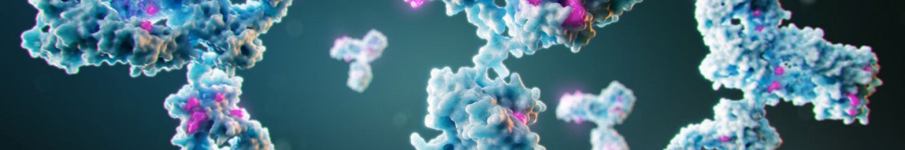 Capillary electrophoresis protein analysis with SCIEX precision technology. 