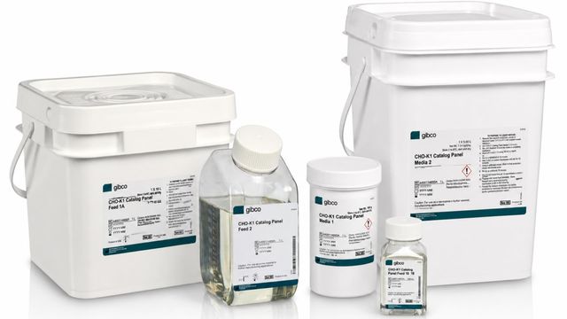 Gibco CHO-K1 cell culture media and feed products displayed in laboratory containers. 