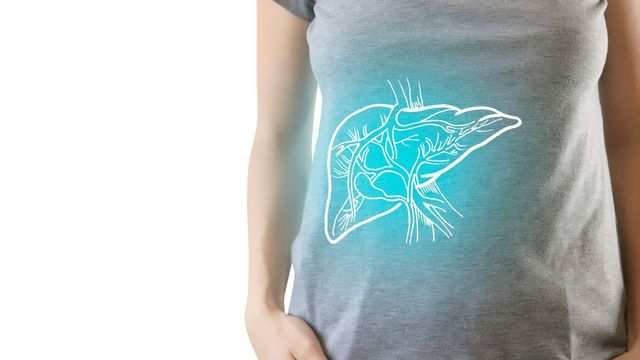 Mid-section of a person wearing a shirt, with a liver illustration overlayed in the relevant anatomical position. 