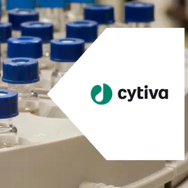 Chromatography sample vials with blue caps in a laboratory.