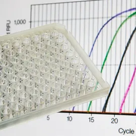 Close-up view of a multi-well plate in front of a screen displaying qPCR amplification curves.