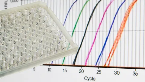 Close-up view of a multi-well plate in front of a screen displaying qPCR amplification curves.