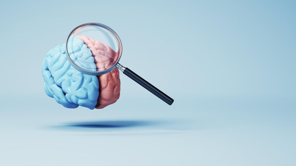 Magnifying glass hovering over a brain model that is half blue and half pink, against a blue background.
