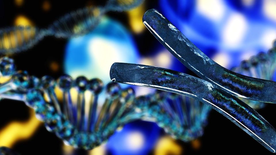 Close up of a chromosome structure. A DNA double helix is visible behind, with blue and yellow hues in the background.