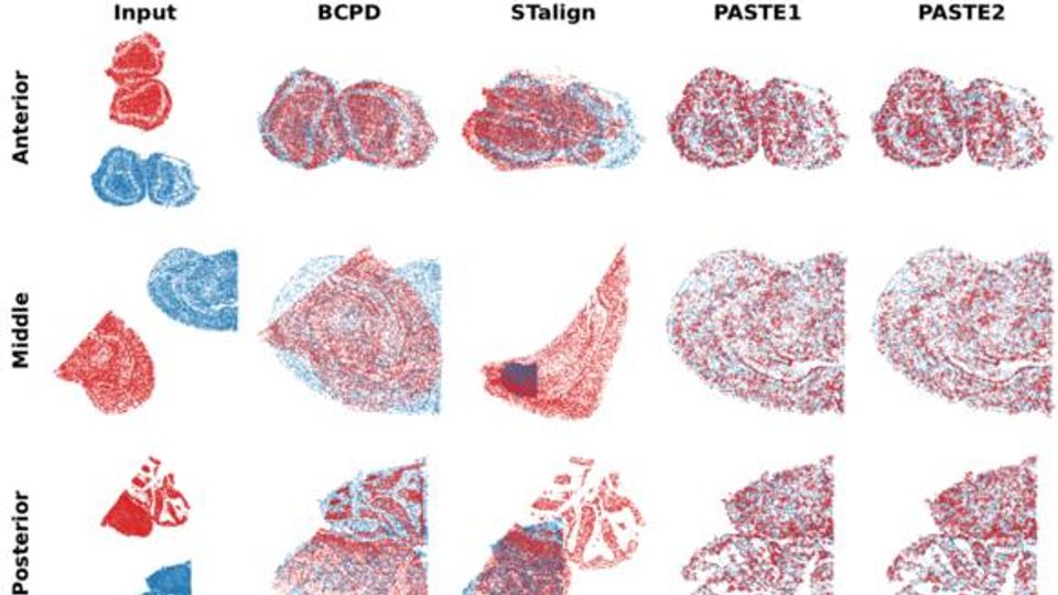 Mouse brain tissue sections comparing registration methods BCPD, STalign, PASTE1 and PASTE2 across brain regions.