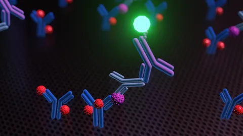 3D render of antibodies binding target molecules in an immunoassay, producing a fluorescent detection signal.