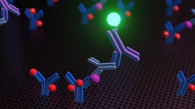 3D render of antibodies binding target molecules in an immunoassay, producing a fluorescent detection signal. 