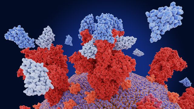 Blue and red image depicting nanobodies. 
