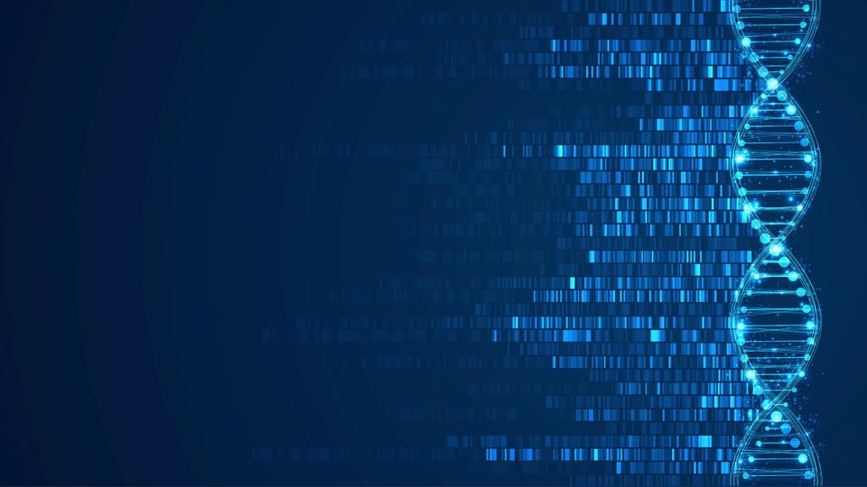 MECP2 Variants May Explain Male-Biased Autism | Technology Networks