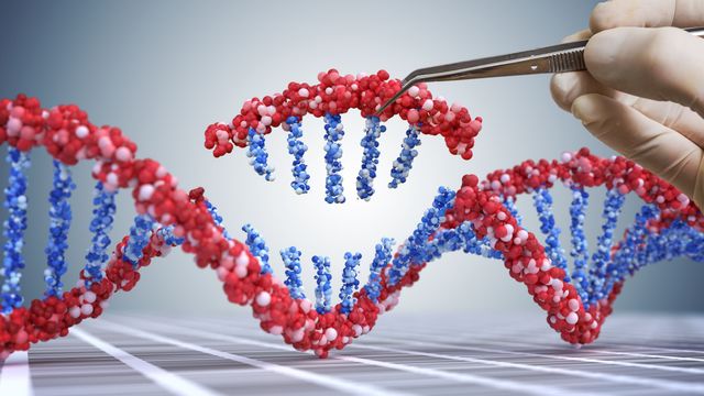 A DNA double helix made up of red and blue particles, with one segment being "removed" using an instrument. 