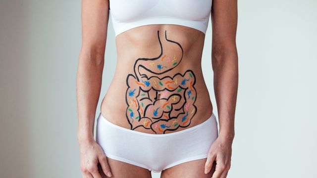 An outline of the intestines, stomach, and habiting bacteria drawn on top of a women's torso. 