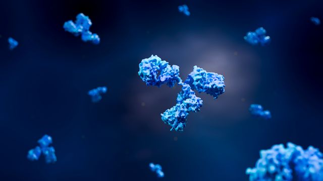 3D render of antibody molecules in suspension, representing antibody discovery. 