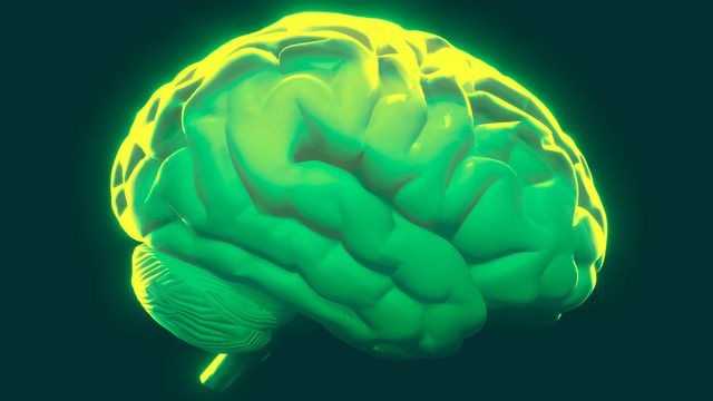 Cold Sore Virus Reprograms Brain Immune Cells, CU Anschutz Finds