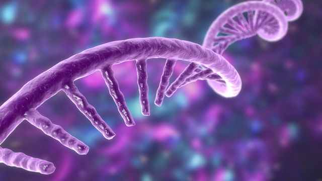 Render of a helical, purple RNA strand against a blue and purple background. 