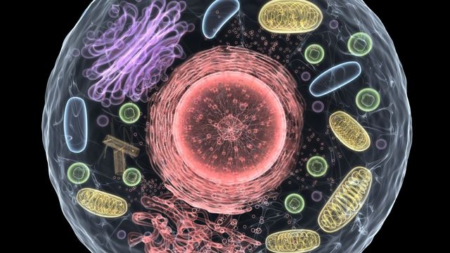 RNA Archiving Reveals Past Gene Activity in Cells | Technology Networks